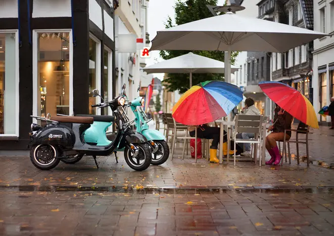 Are electric vehicles the future ?