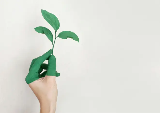 The Impact Of Good PhilanthropyOn The Environment