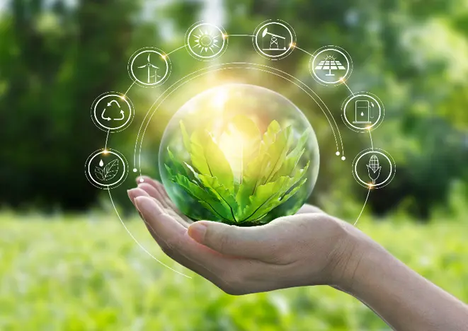 The Intersection of CSR and The Green Economy