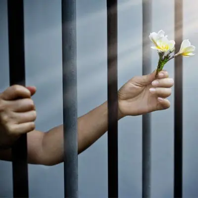 Jail Reforms & Release